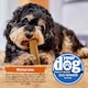 image 5 of Yakers The Original 100% Natural Dog Chew & Occupier Medium
