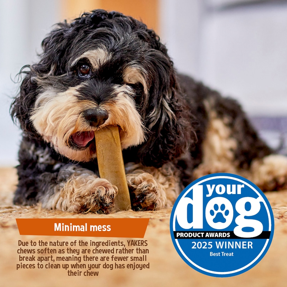 image 1 of Yakers The Original 100% Natural Dog Chew & Occupier Medium