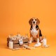 image 3 of Yakers The Original 100% Natural Dog Chew & Occupier Medium