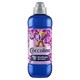 obrázok 1 z Coccolino aviváž Purple Orchid 925 ml 37 praní