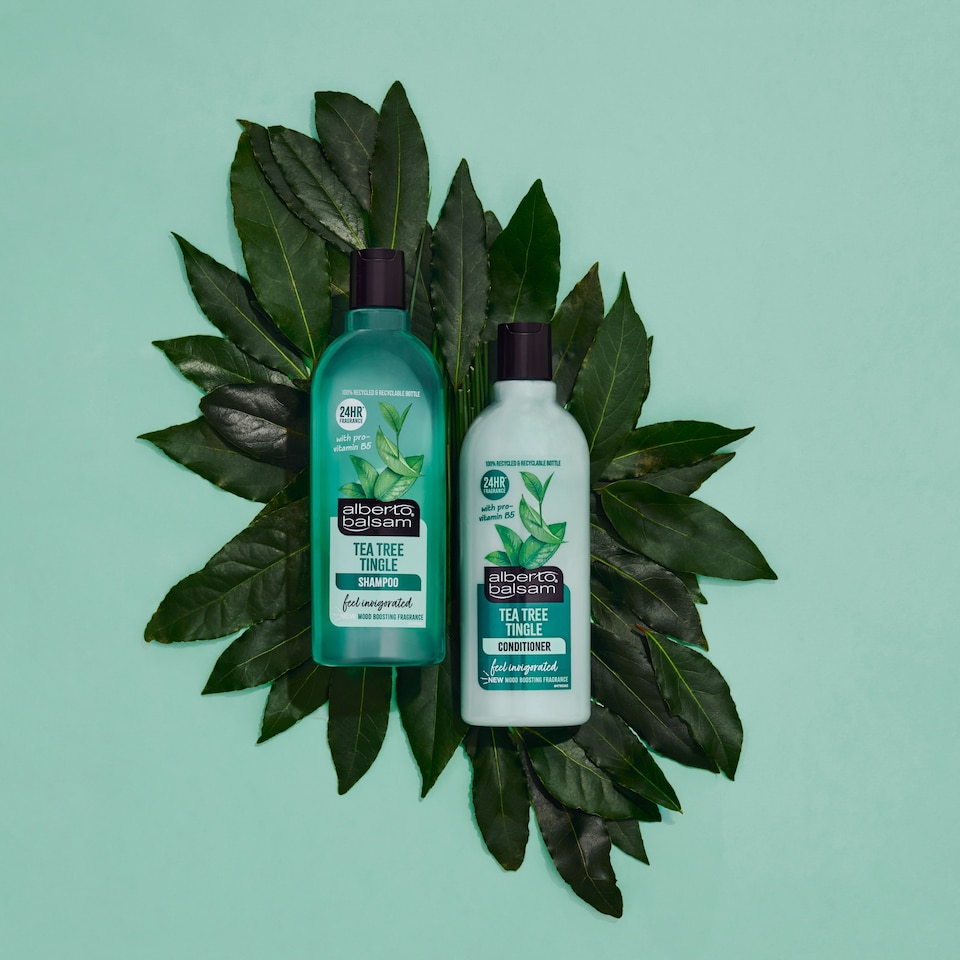 image 1 of Alberto Balsam Tea Tree Tingle Conditioner 300Ml