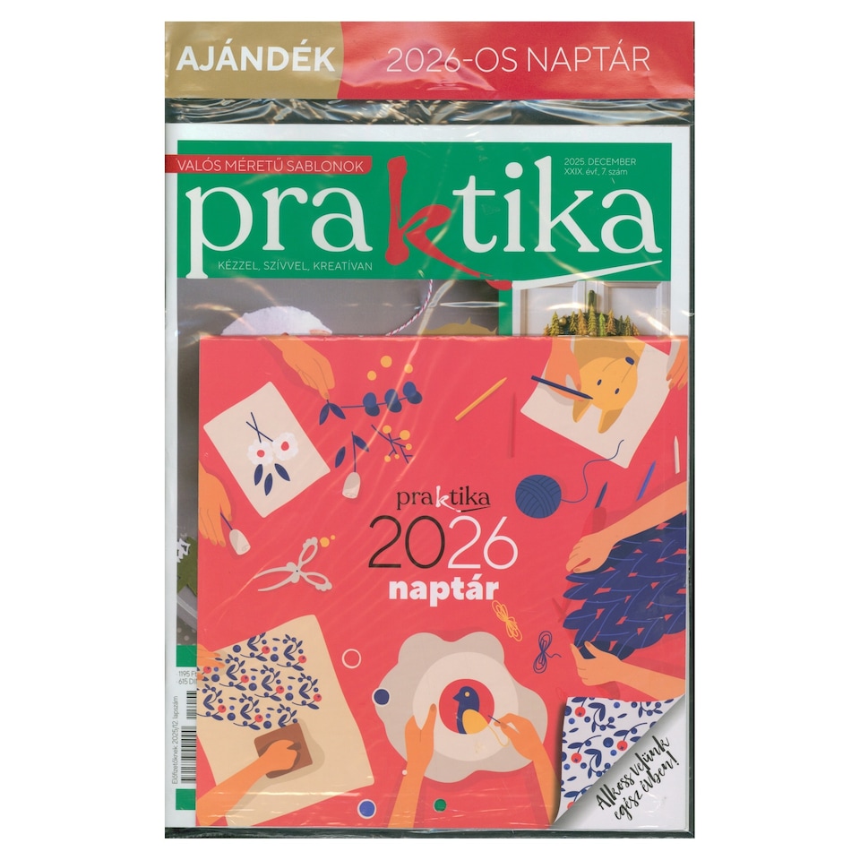 Praktika