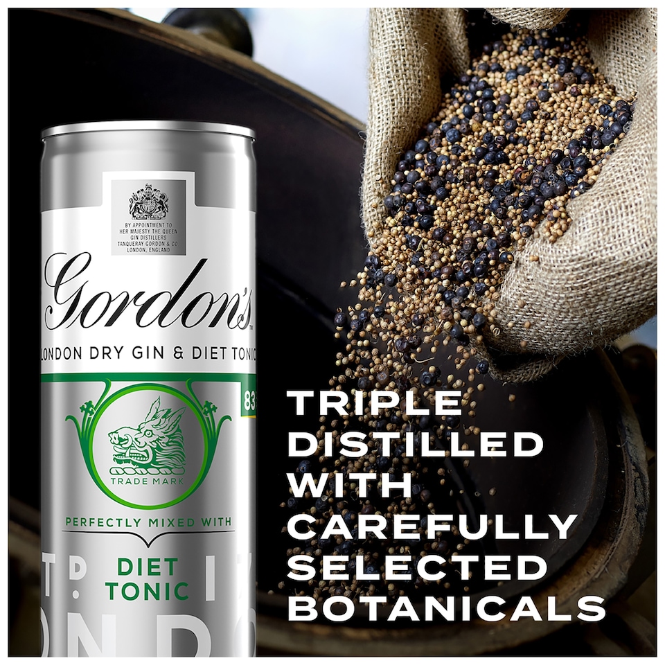 image 1 of Gordon's Dry Gin & Slimline Tonic Premixed Can 5% Vol 250ml