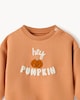 image 3 of F&F Baby Cotton Rich Pumpkin Sweatshirt and Leggings Set in Brick