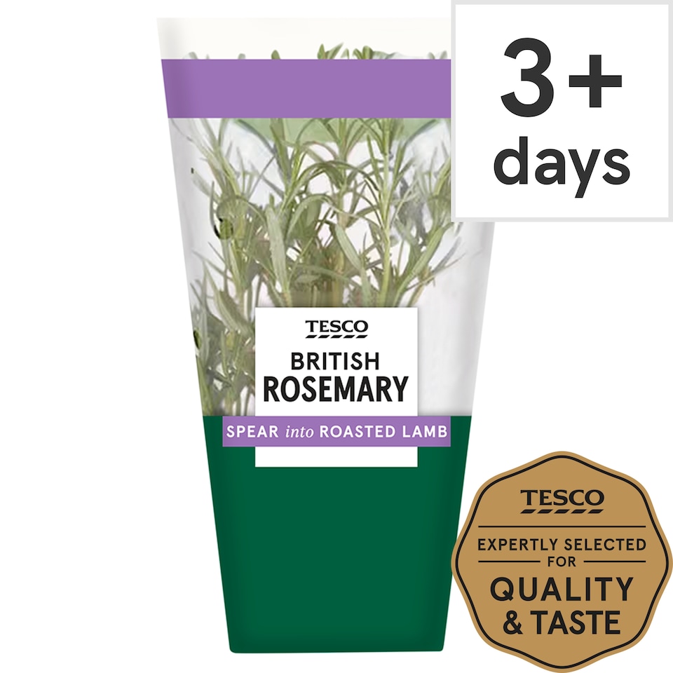 Tesco British Rosemary Medium Pot Each