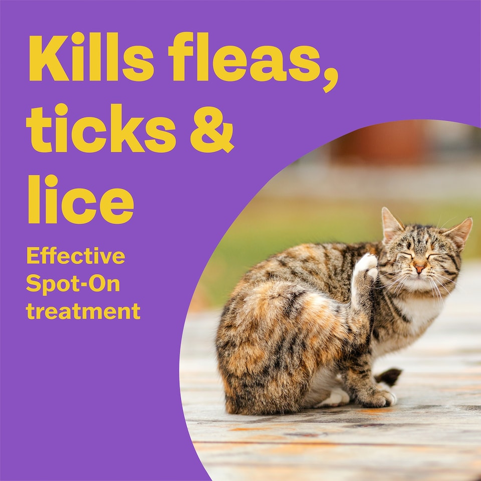 image 1 of Bob Martin Clear Plus Cat Flea & Tick 2 Tube