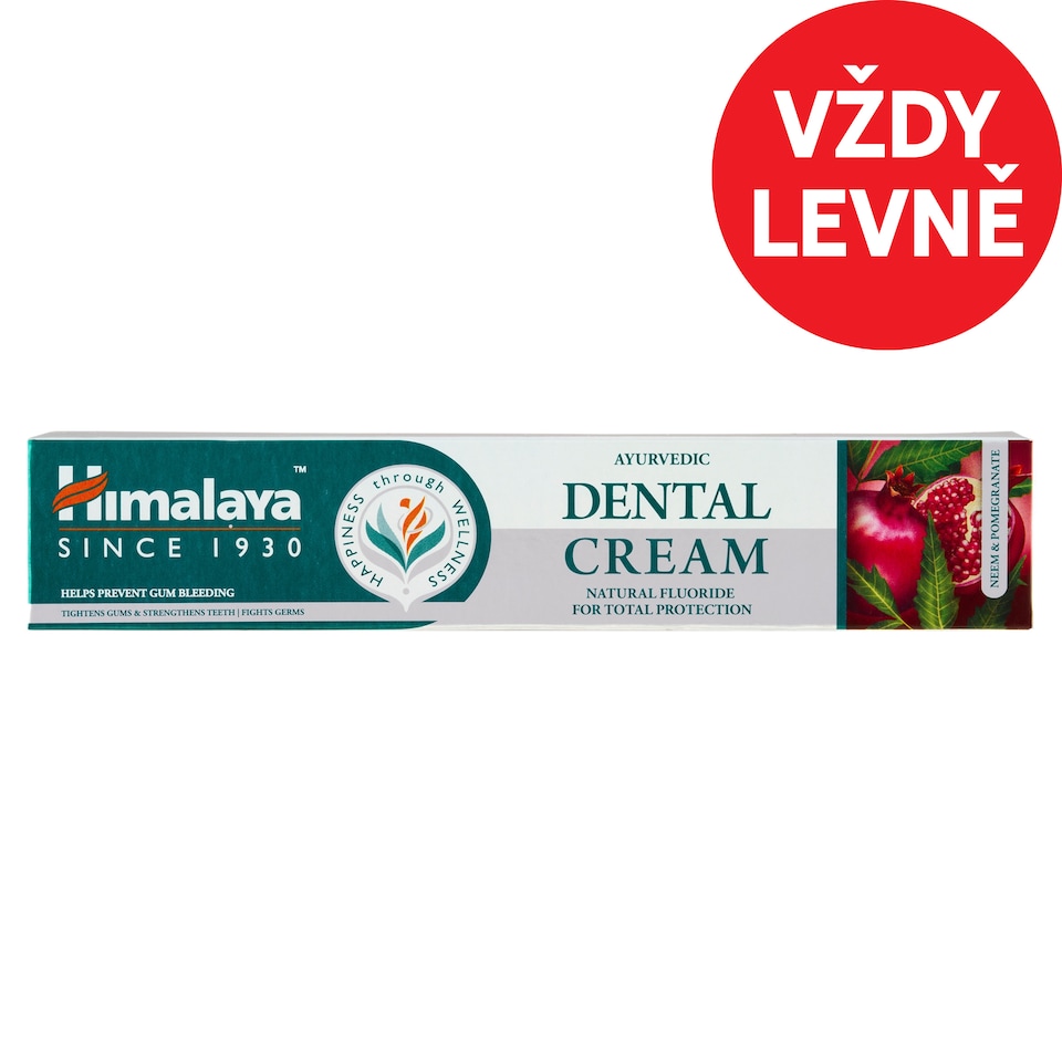 Himalaya Ayurvedic Dental Cream 100g