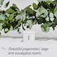 image 3 of Fussy Natural Deodorant Refill Wavy Days 40g