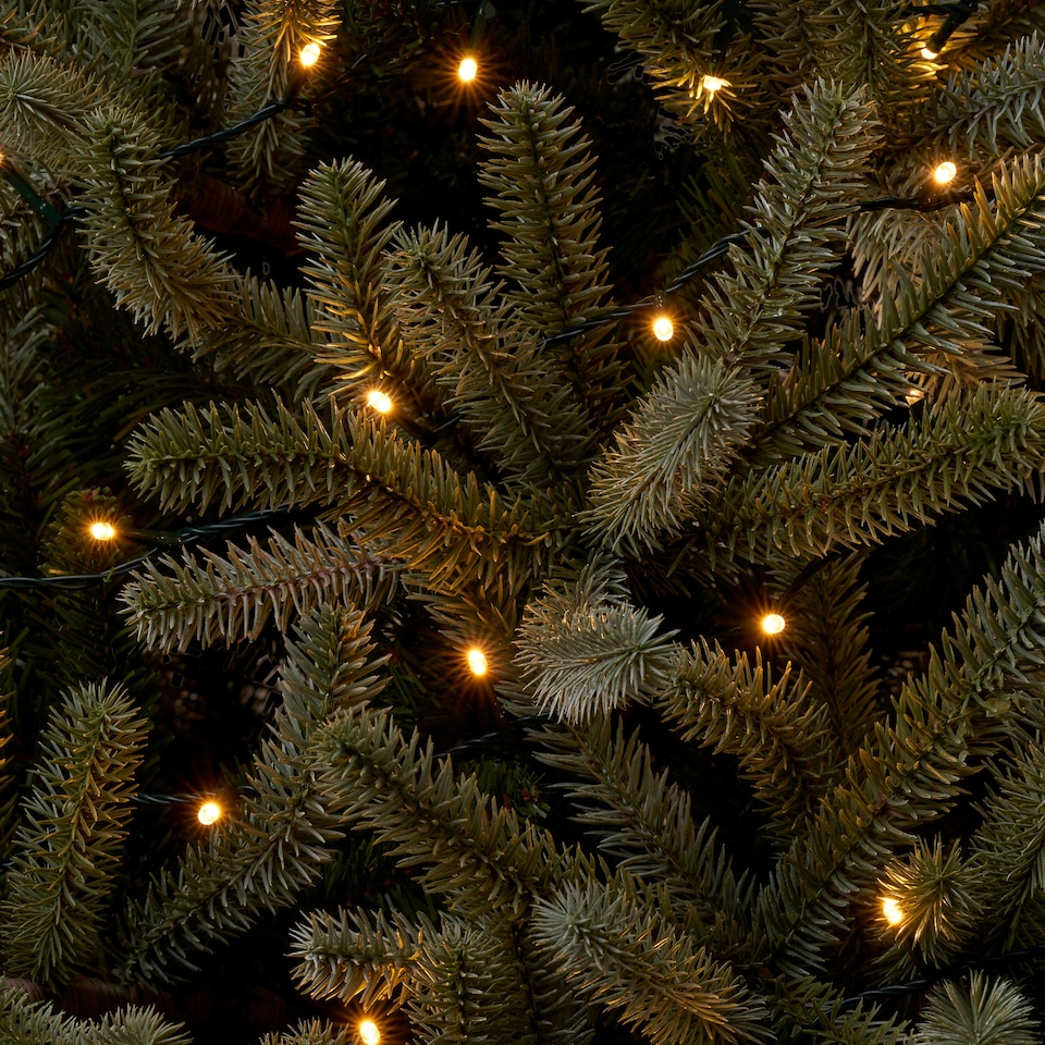 image 1 of Tesco 300 Multifunction Warm White Christmas Lights