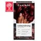 image 3 of CLAIROL COLOUR STRONG PERMANENT HAIR DYE - 4.46 INTENSE DARK RED