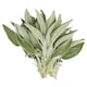 image 2 of Tesco Sage 20G