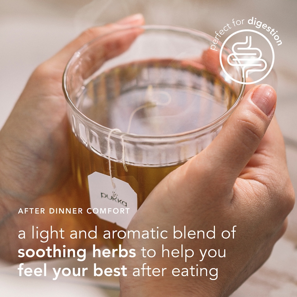 image 1 of Pukka Organic After Dinner Tea With Fennel for Digestion 20 Herbal Tea Bags 40g