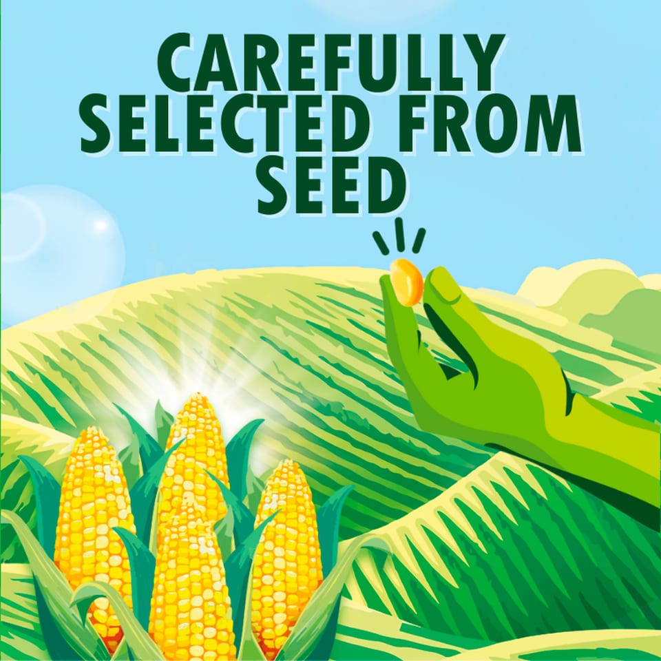 image 1 of Green Giant Original Sweet Corn 4X198g