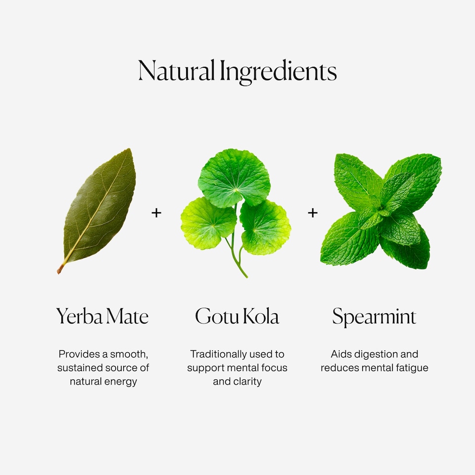 image 1 of MISSION Perform Yerba Mate with Green Tea, Spearmint 15 Tea Bags 30g