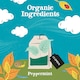 image 3 of Clipper Organic Peppermint Tea Bags 20S 30G
