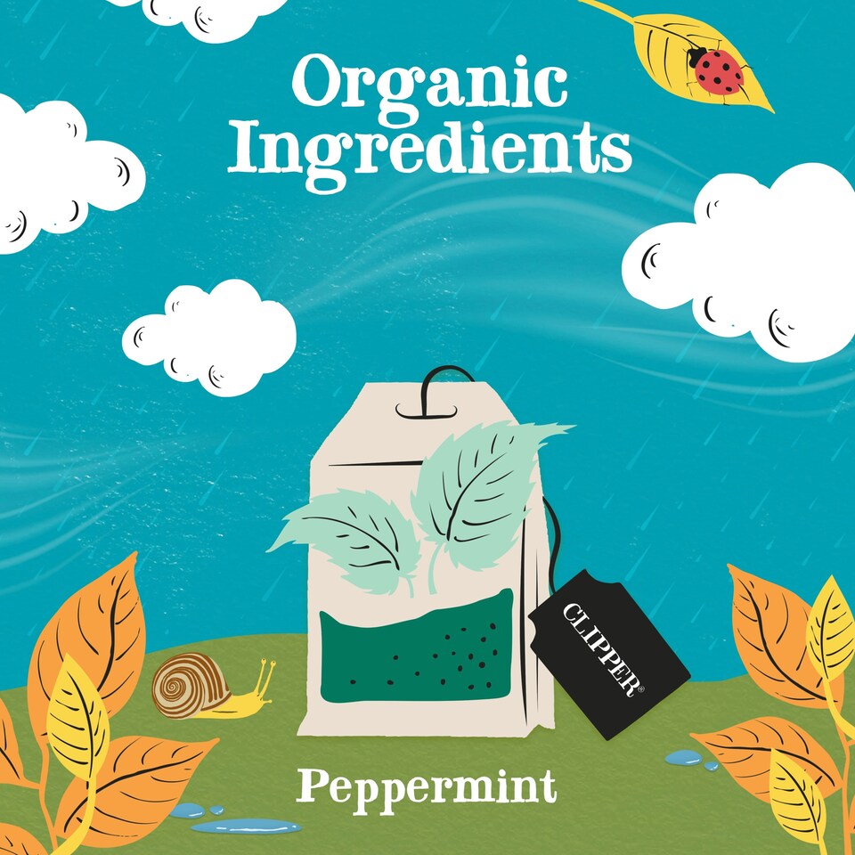 image 1 of Clipper Organic Peppermint Tea Bags 20S 30G