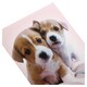 image 2 of Hallmark Rspca Birthda Y Cute 11207980