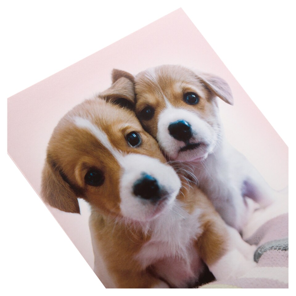 image 1 of Hallmark Rspca Birthda Y Cute 11207980