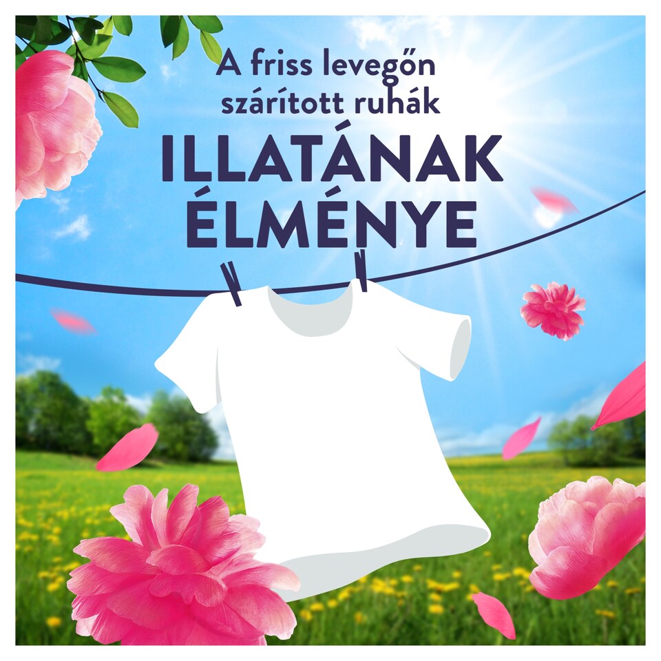 Lenor Fresh Air Öblítő 50 Mosáshoz, Pink Blossom 1. kép