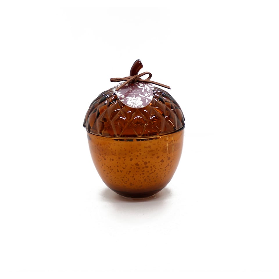 F&F Home Plum & Ginger Acorn Candle 190g