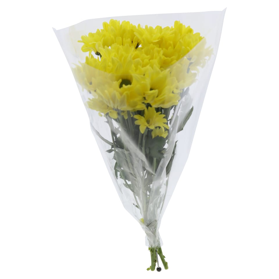 image 1 of The Floral Connection Chrysanthemums Bouquet