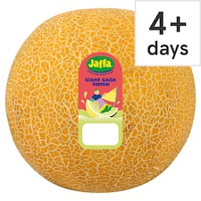 Jaffa Giant Galia Melon Each