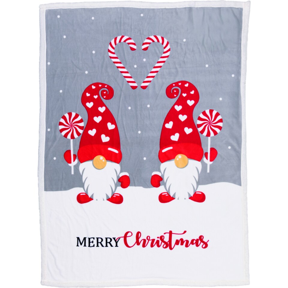 Obrázek 1 pro produkt Carbotex Deka mikroflanel s beránkem 150 x 200 cm