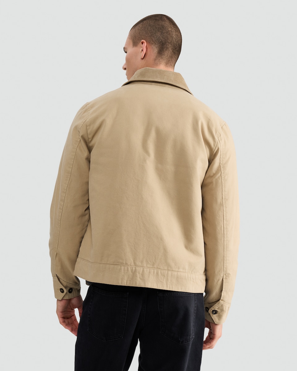 image 1 of F&F Pure Cotton Corduroy Collar Zip Front Jacket in Stone