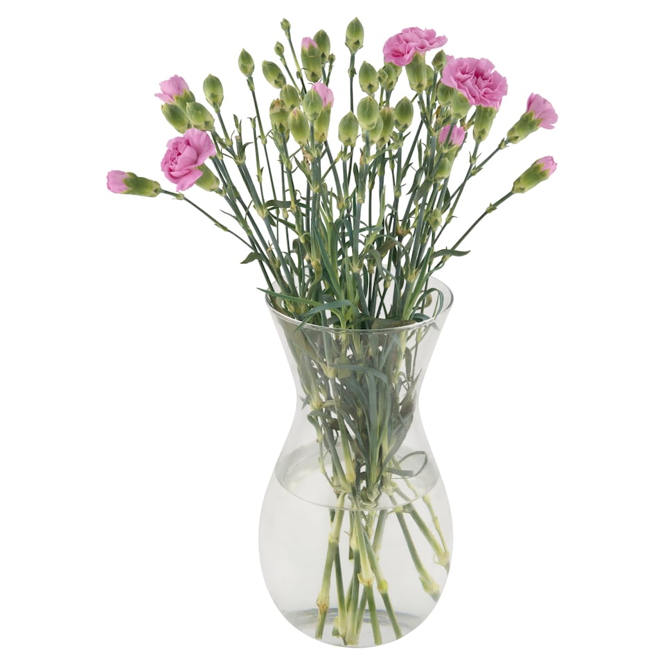 Tesco Bouquet of Carnations 45 cm 10 Stems