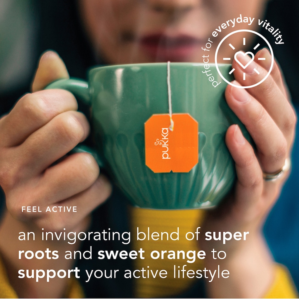 image 1 of Pukka Organic Turmeric, Ginger & Orange Tea 20 Herbal Tea Bags 36g