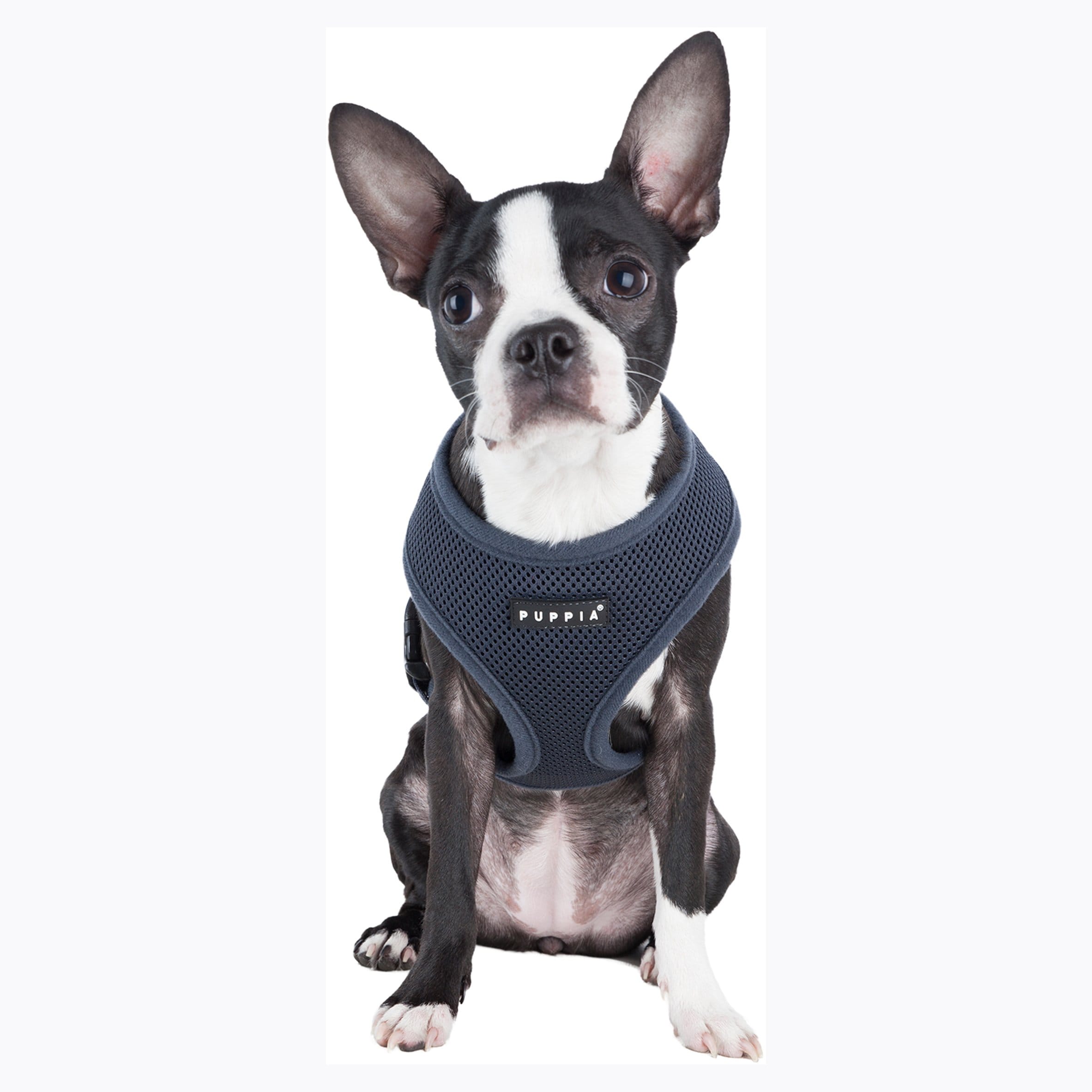 puppia mesh harness
