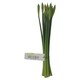 image 2 of Tesco Bouquet of Daffodils 18 pcs