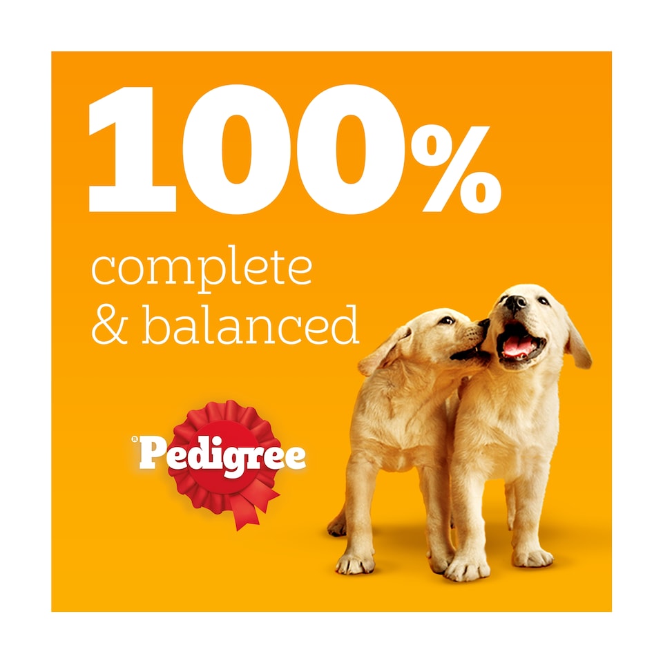 image 1 of Pedigree Puppy Dog Food Pouches Mixed in Jelly 12x100g