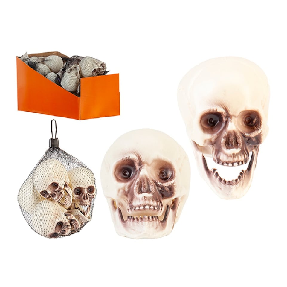 Halloween Mini Spooky Skulls 5 Pack