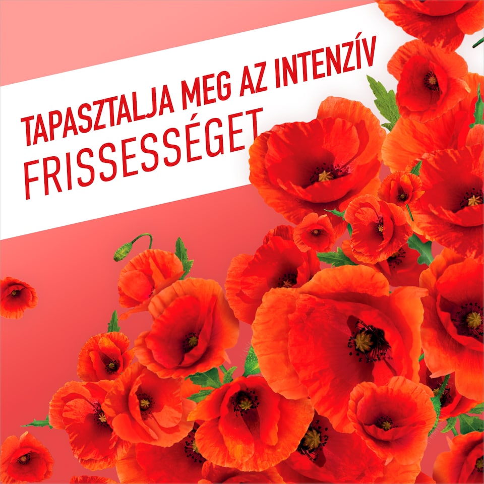 Ajax Flower Fiesta Pipacs Piros általános tisztítószer 1000 ml  1. kép