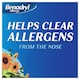 image 3 of Benadryl Allergy Natural Relief Nasal Spray 15ml