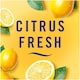 image 4 of Febreze Bathroom Air Freshener Lenor Citrus & White Verbena 7.5ml