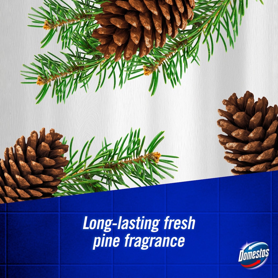 image 1 of Domestos Bleach Foam Toilet and Bathroom Pine Boost 450ml