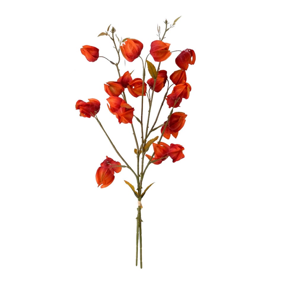 Bayswood Artificial Chinese Lantern Stems Set of 2