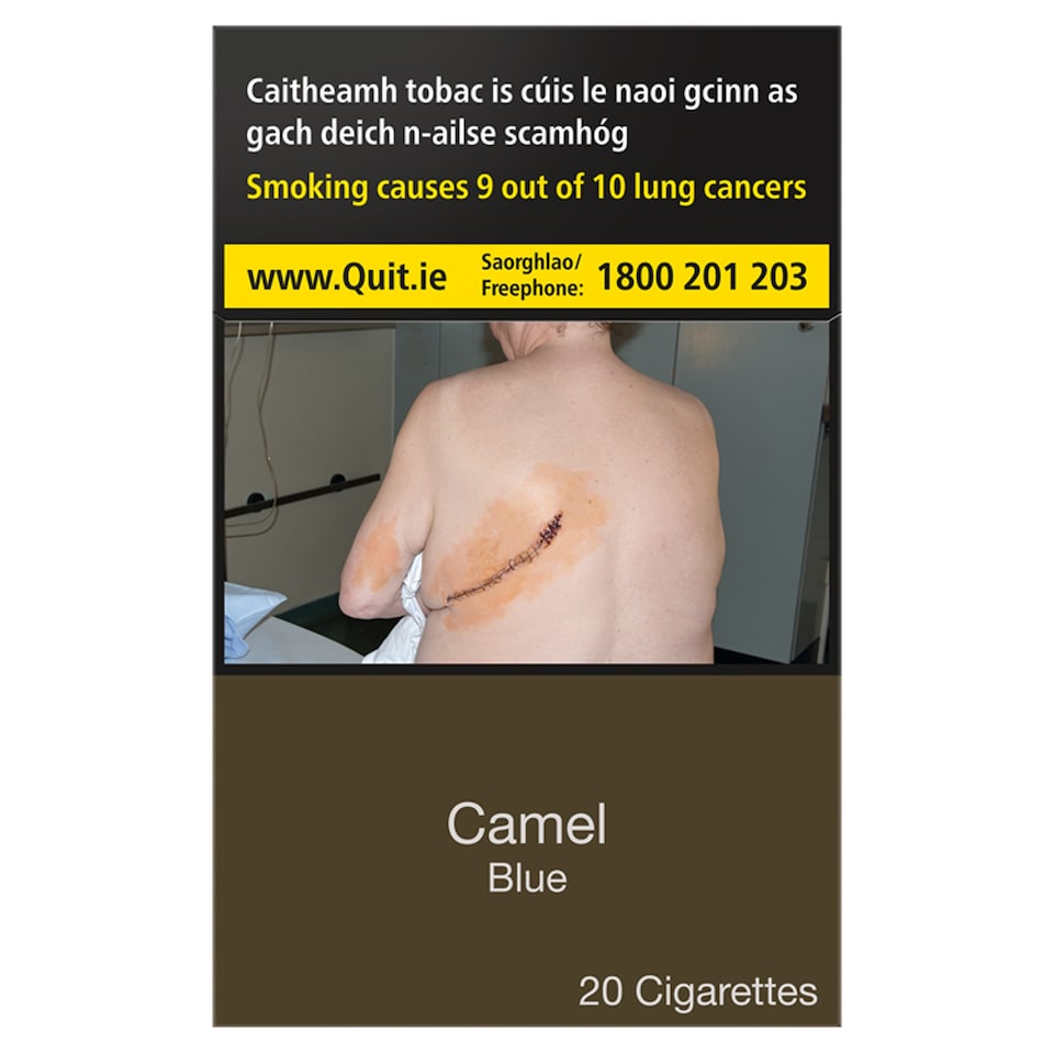 Camel Filters 20 Pack