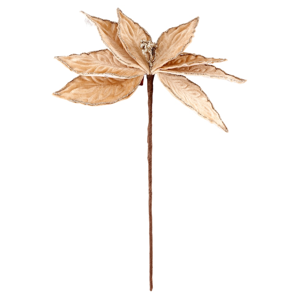 Vetvička vianočnej hviezdy 27 cm