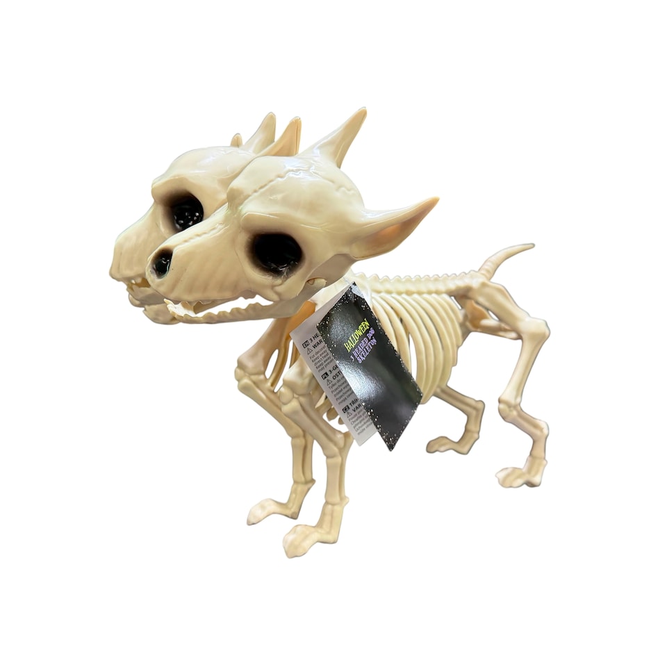 Halloween 3 Headed Dog Skeleton
