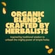 image 5 of Pukka Organic Lemongrass & Ginger Herbal Tea 20 Tea Bags 36g