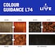 image 5 of Schwarzkopf LIVE Intense Colour L74 Tangerine Twist Permanent Hair Dye