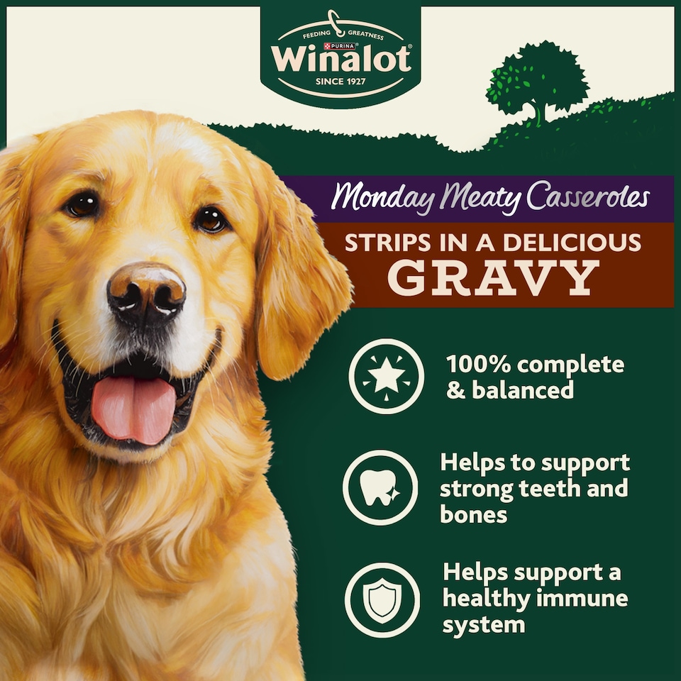 image 1 of WINALOT Monday Meaty Casseroles Chicken, Turkey, Duck in Gravy Wet Dog Food 40 x 85g