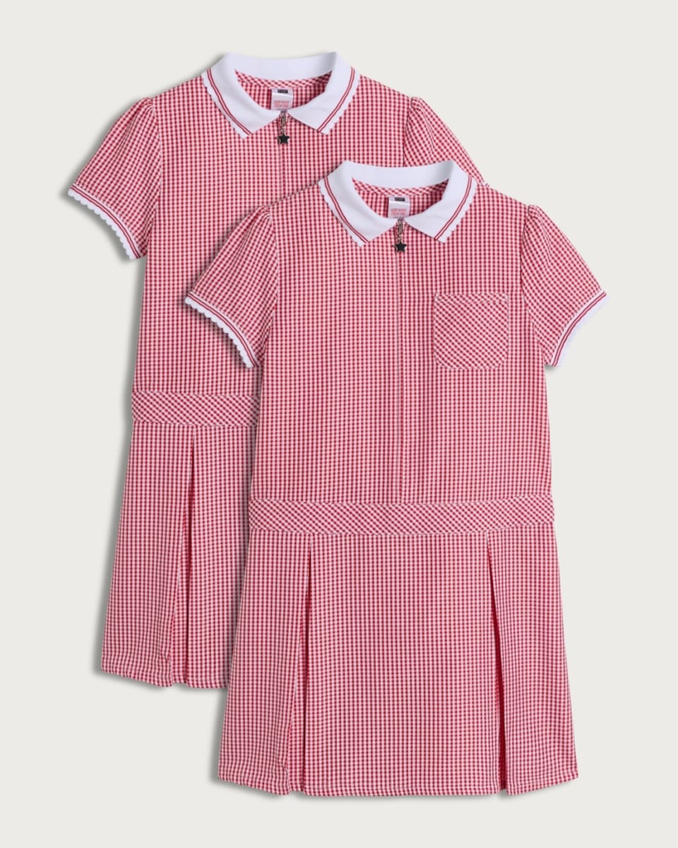 image 1 of F&F School Girls 2-Pack Generous Fit Gingham Short Sleeved Dresses in Red
