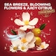 image 3 of Old Spice Deep Sea Deodorant Stick 50Ml