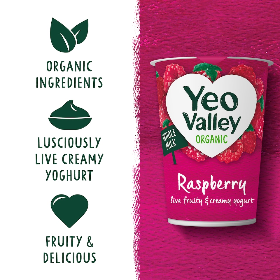 image 1 of Yeo Valley Raspberry Yogurt 450G