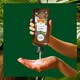 image 2 of Herbal Essences Bio Renew Coconut Milk Shampoo 250Ml