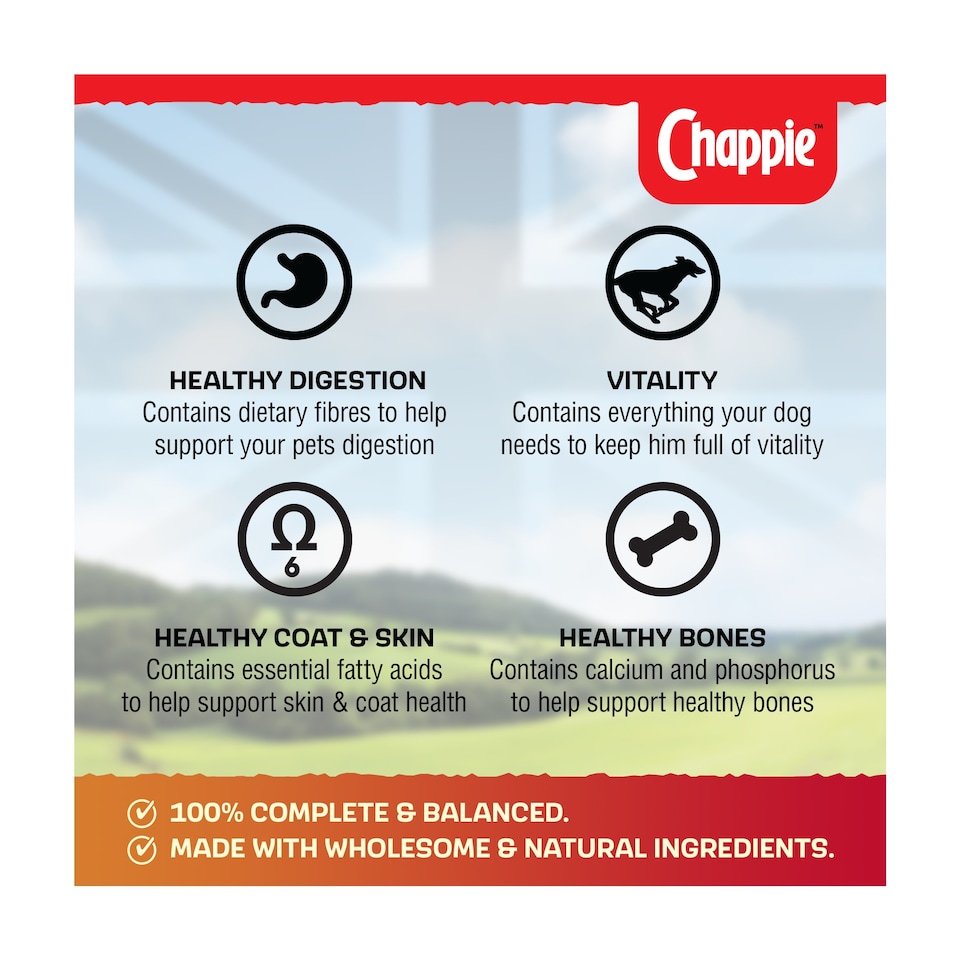 image 1 of Chappie Adult Wet Dog Food Tins Favourites in Loaf 6 x 412g